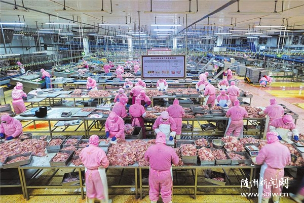 ����׼������ź족