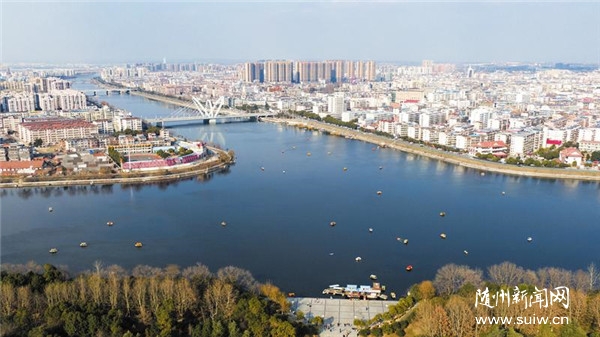 ���۰��ƺ� ���������