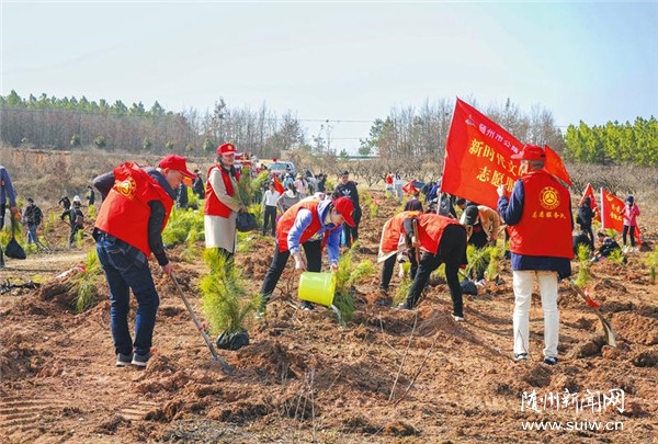 ����ֲ��