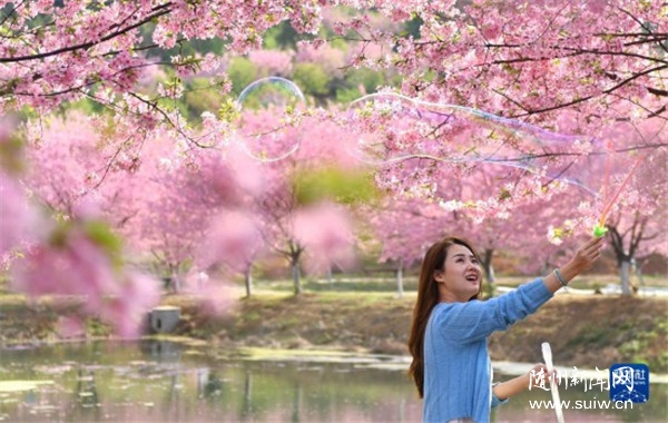 ����ӣ������ �ο���������