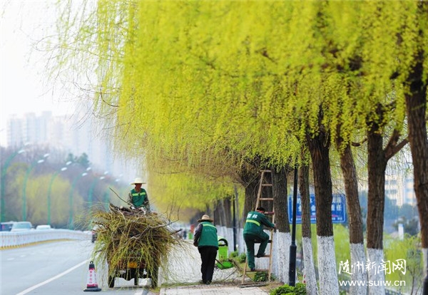 �������ϡ���������