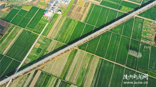 ��ɫ����