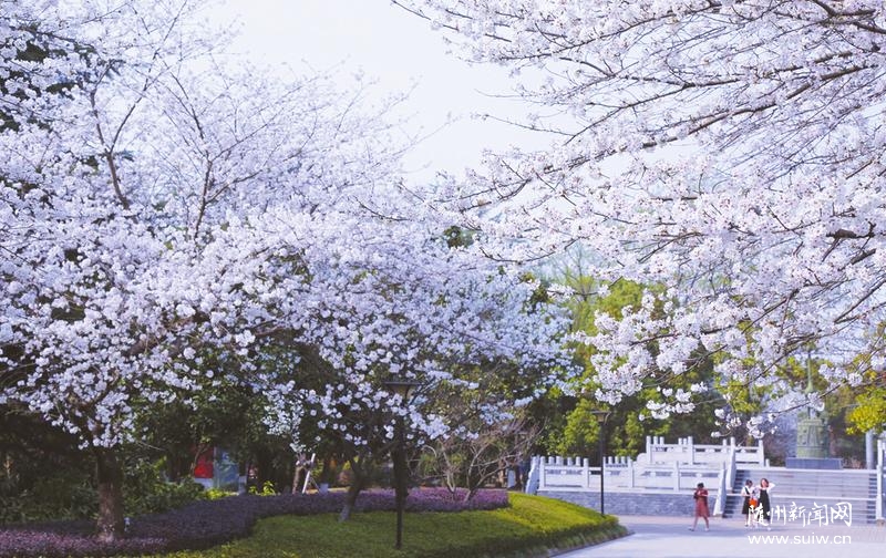 ��ӣ��Ϊ���� Ѥ������