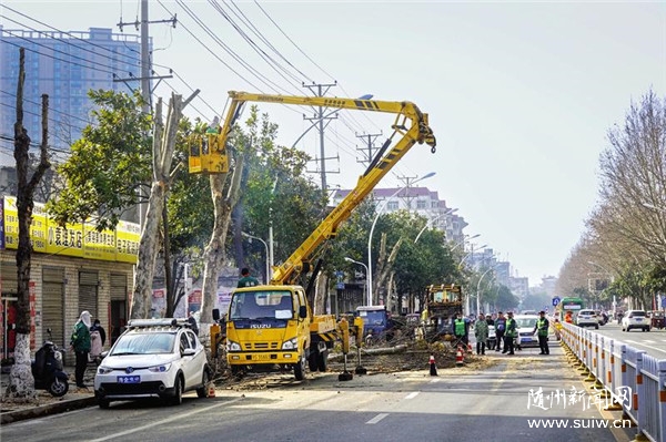 ����е�����֦��֦