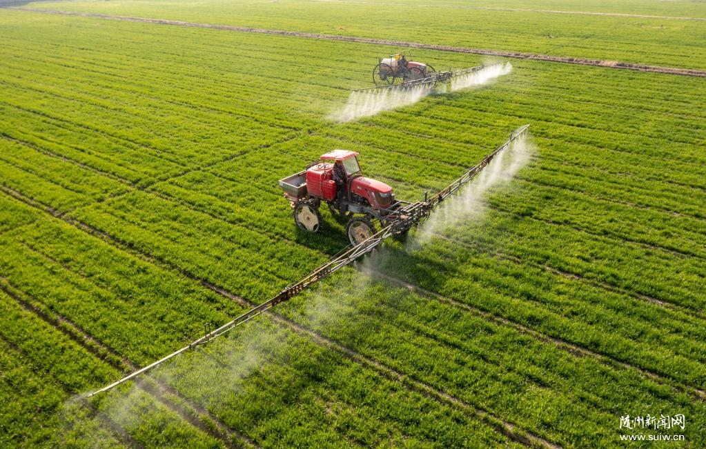 ������������̡����ҹ�ȫ���Ը�������ʳ����