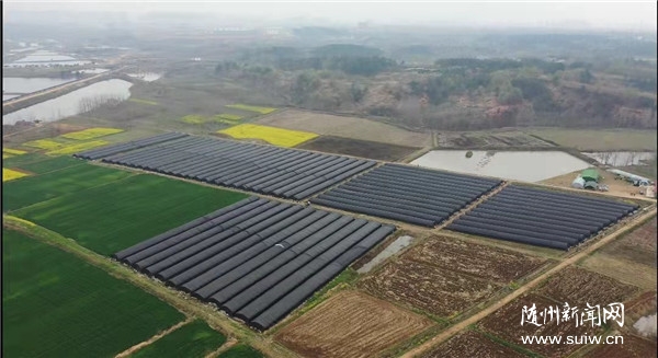 ʯ�Ŵ塪��С��Ǿ�������ҵ