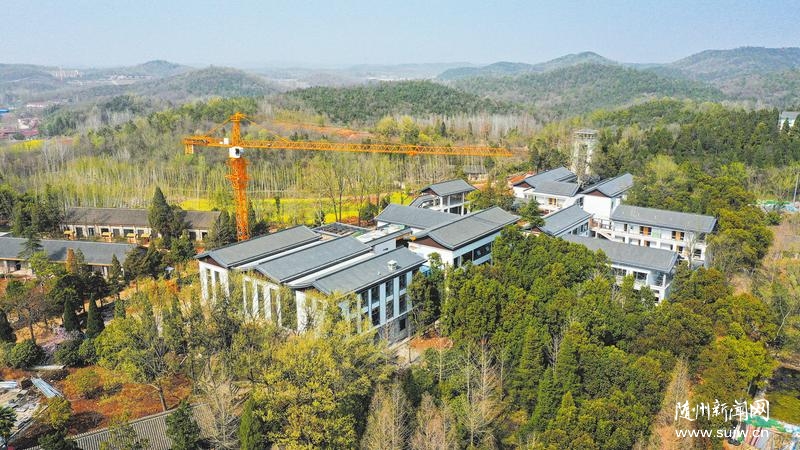 �������չ �����������