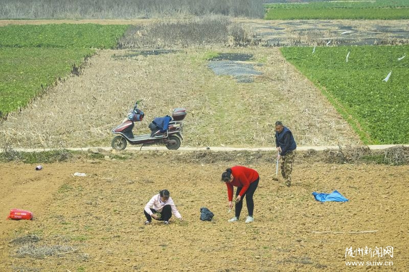 ��ץũʱæ����