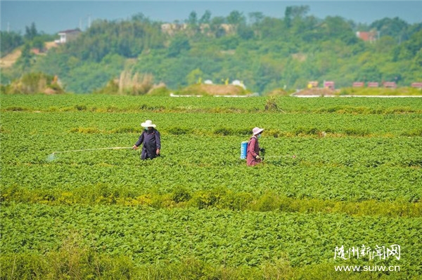 ����ũʱ������