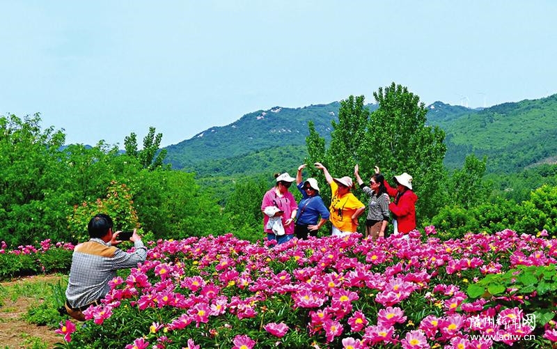 ��ҩ���ػ�������