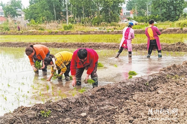 �����Ĳ�����ʱ