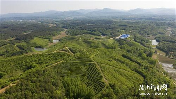 ɽƮ ʳƷдݲҶڡ񻰡