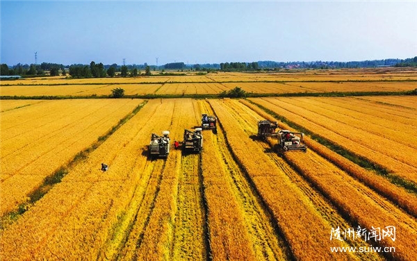 �������� �������