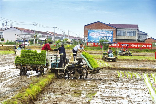 æ�����ġ�