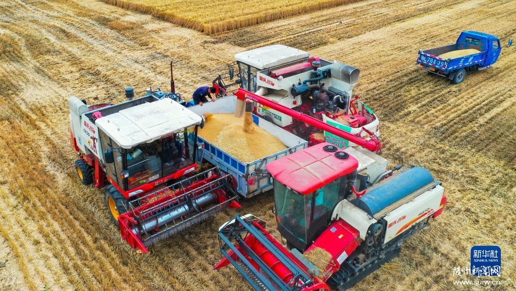 ũæ�����ġ�