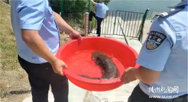 ������ɽˮ�⾪�֡��ĽŹ֡� ԭ������������