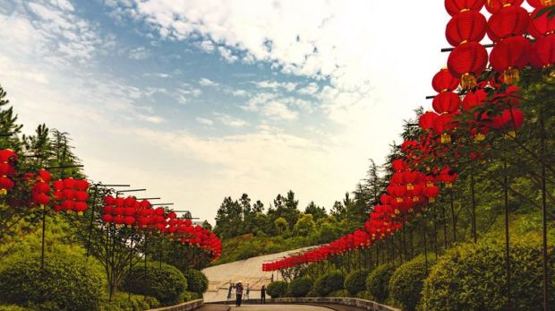  ̬˾ ˾ӡӰƷƷѡ֮