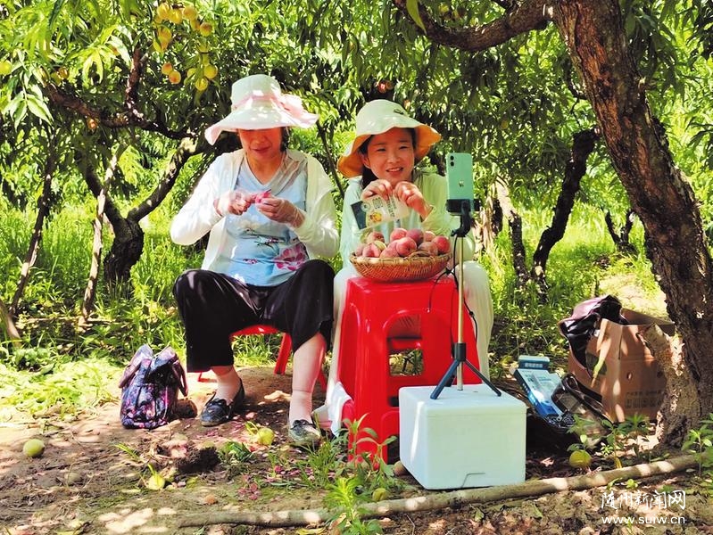 ֱ��������������԰ֱ������