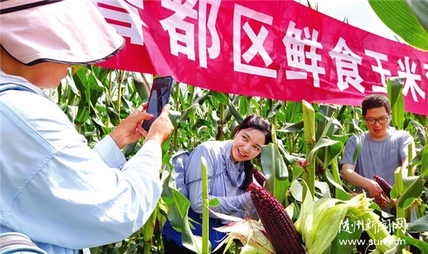 ����ӭ���ջ�