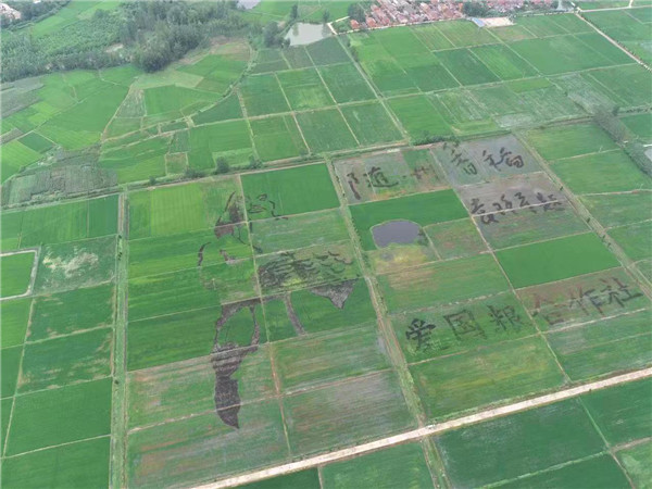 ���۽��˴�������顿�׵۹��ﵾ����