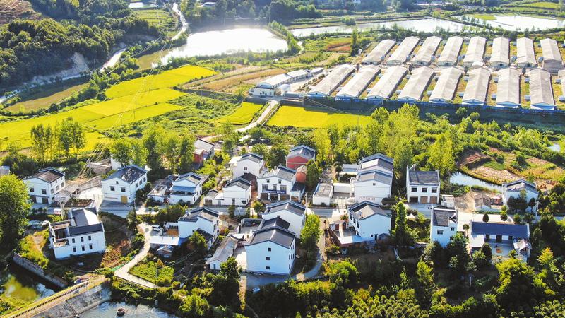 ��ϲӭ��ʮ���������ε������ݽ�����һ�� ��������չ��ʾ��