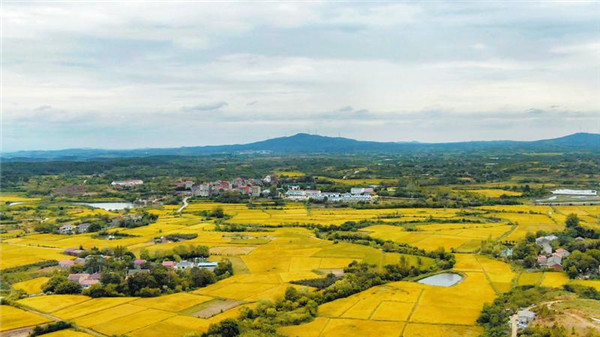 ��ϲӭ��ʮ�� ���򿴷�չ����ˮ������򡪡� ��ɫũҵ�����