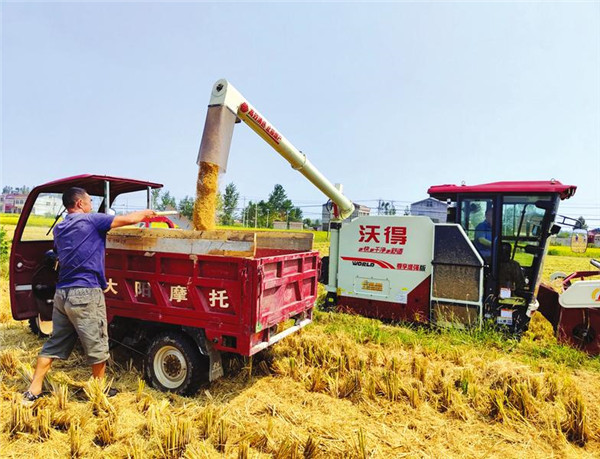 ����ϲ�����