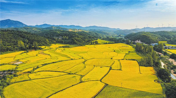 ������Ұ�桰�ᡱ�� ������������α�����ʳ��ȫ֮һ