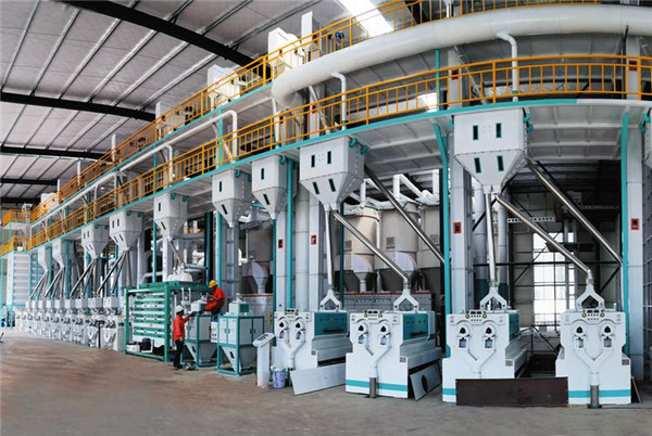 ��Ч��ͨ����ȫ ������������α�����ʳ��ȫ֮��