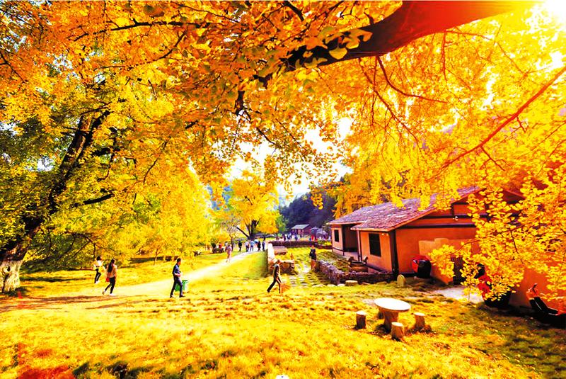 ���������ӹȾ����ָ���԰ӭ��