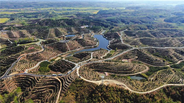 ���۷���̬ũҵ��˾�Ͳ����