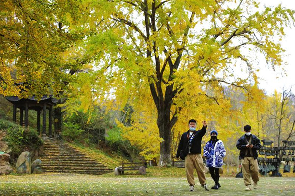 ���ò�ҵ���α����������о����ɷ���