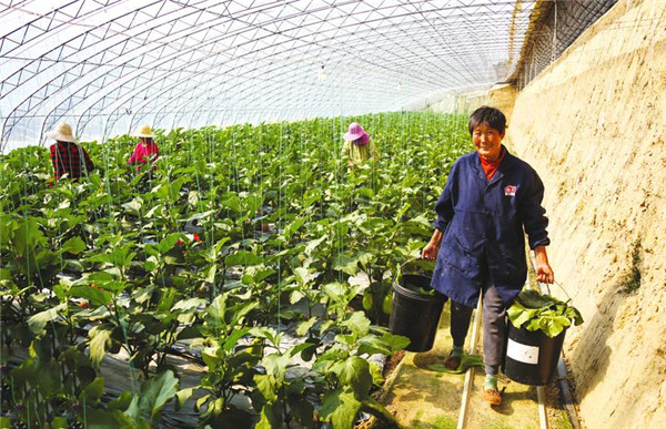 ���մ���ũ��æ