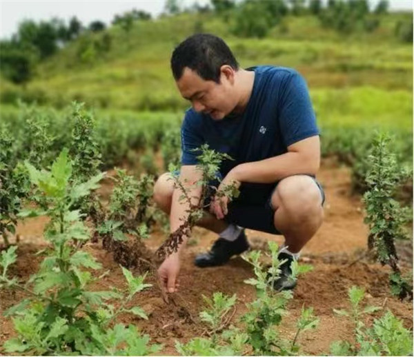 ��ˮһ������������ ��ҩ��������¸�������