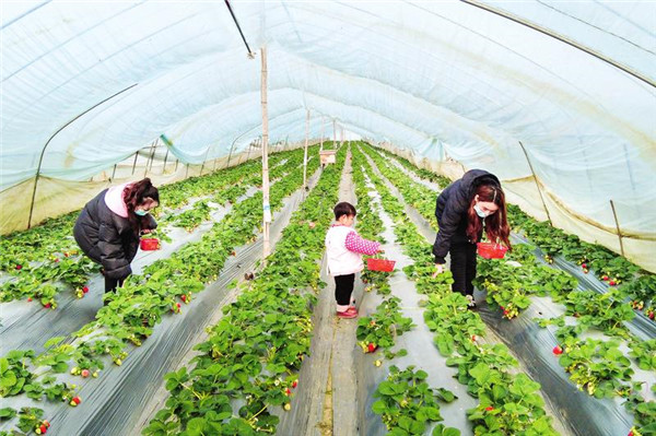 ������ա����� ��ũϲ�ϡ�ݮ����