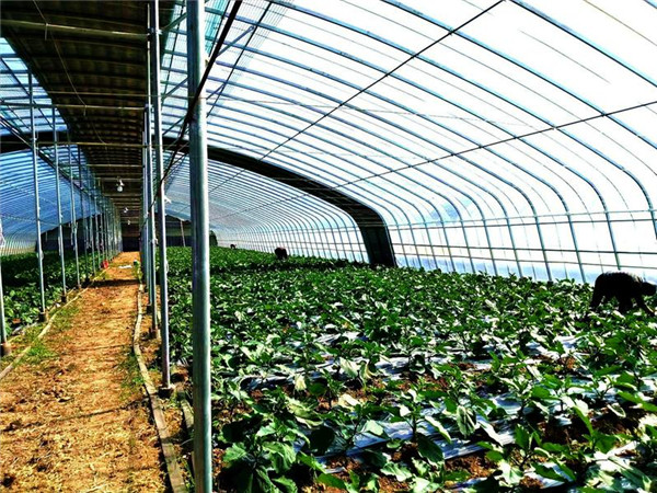 ̶̴壺19102򽨴ﱼ·