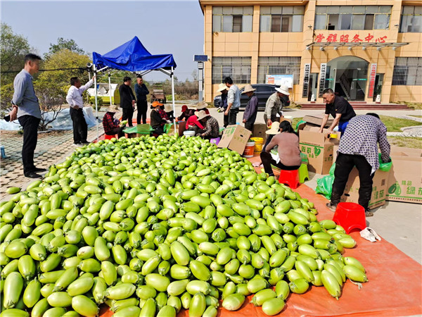 �������Ҹ�����������̶�̴壺19����102�򽨴��ﱼ��·