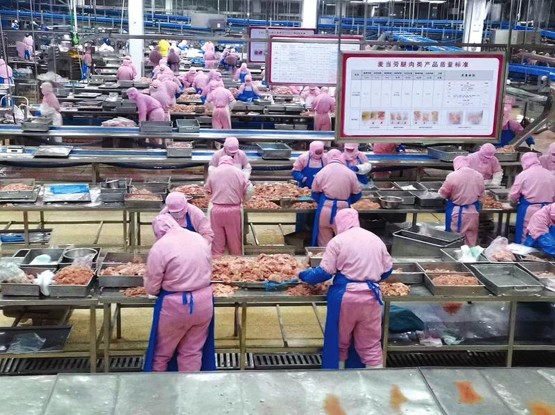 ��������æ����