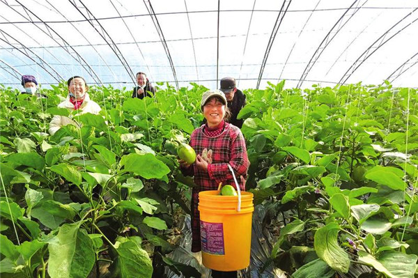 ����ʱ����������ΰҵ�����ؾ��������ֵ����Ԫ ����������۱��衱