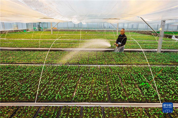 ����ũ��æ