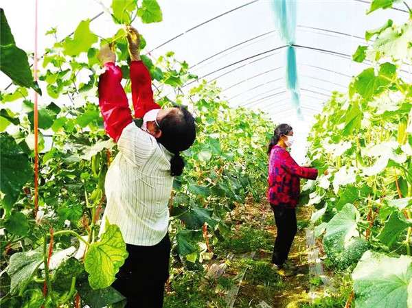 Сӹ壺߲˹˾Ŵ񱼸·