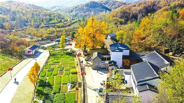 ݵɽ壺һԼĻᡱԳЧ 桱Ҹ