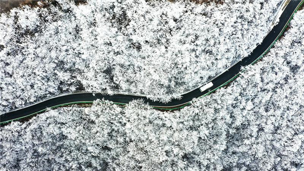 ���ɽ��������