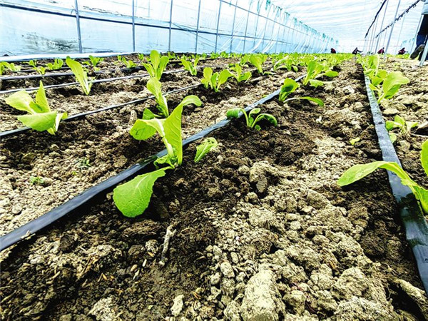 ϣ�����ڴ������Ұ��