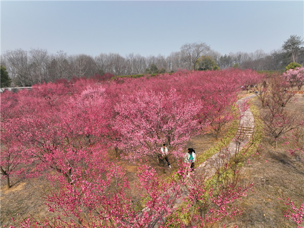 �����������׵۹���÷�����Ŵ������޺�