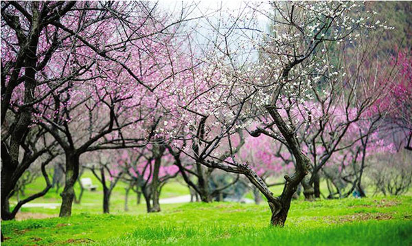 ÷�����Ŵ���Ũ �ͻ�������ʱ