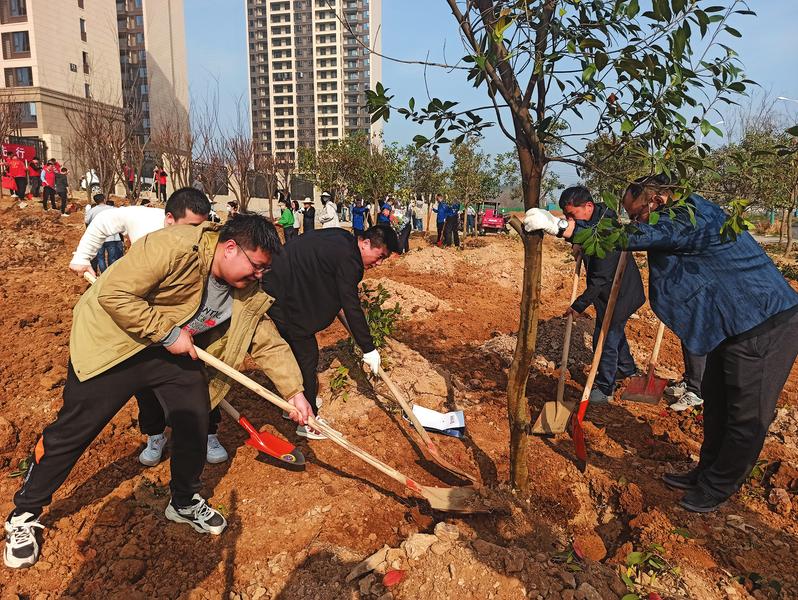 ֲ������