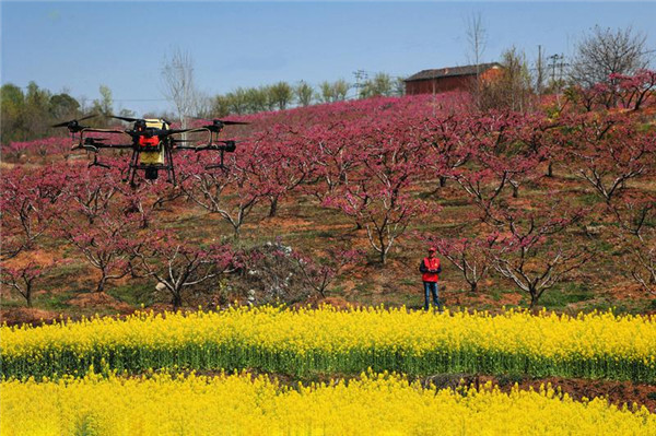 ��Ч���� �����Ͳ˻�����