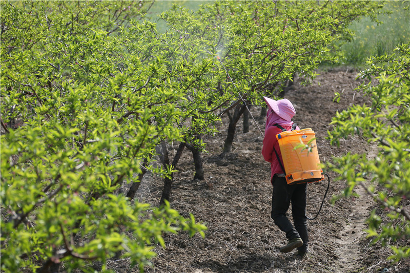 ���Ĺܻ� ȷ������