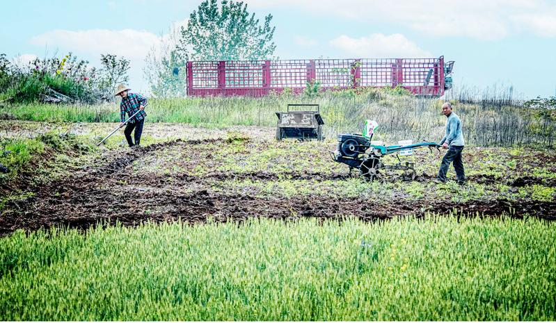 ��ץũʱ ʩ�ʴ���